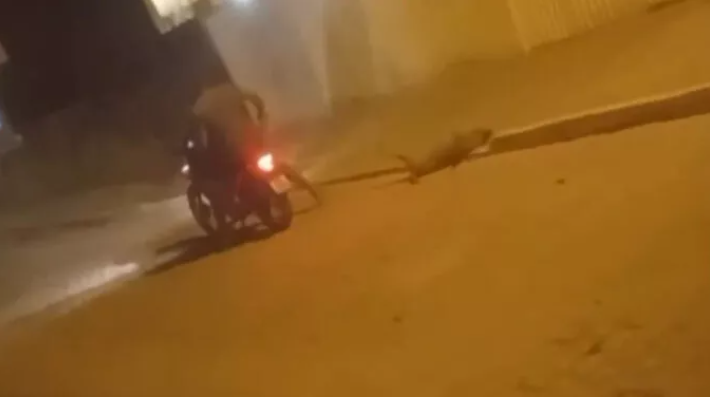 Homem é preso suspeito de arrastar cachorro por uma corda em Piancó – Portal Central Vale Notícias
