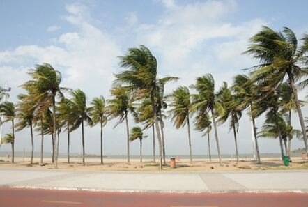 Inmet divulga alerta de ventos fortes de até 60km/h em toda a Paraíba