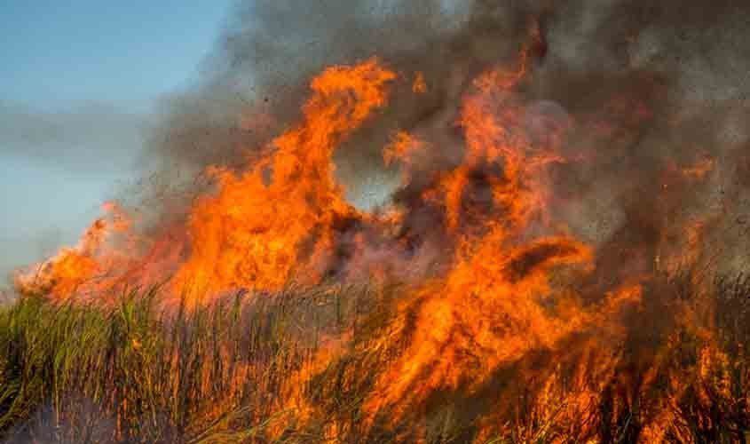 Incêndio, Canavial, Fogo, Paraíba