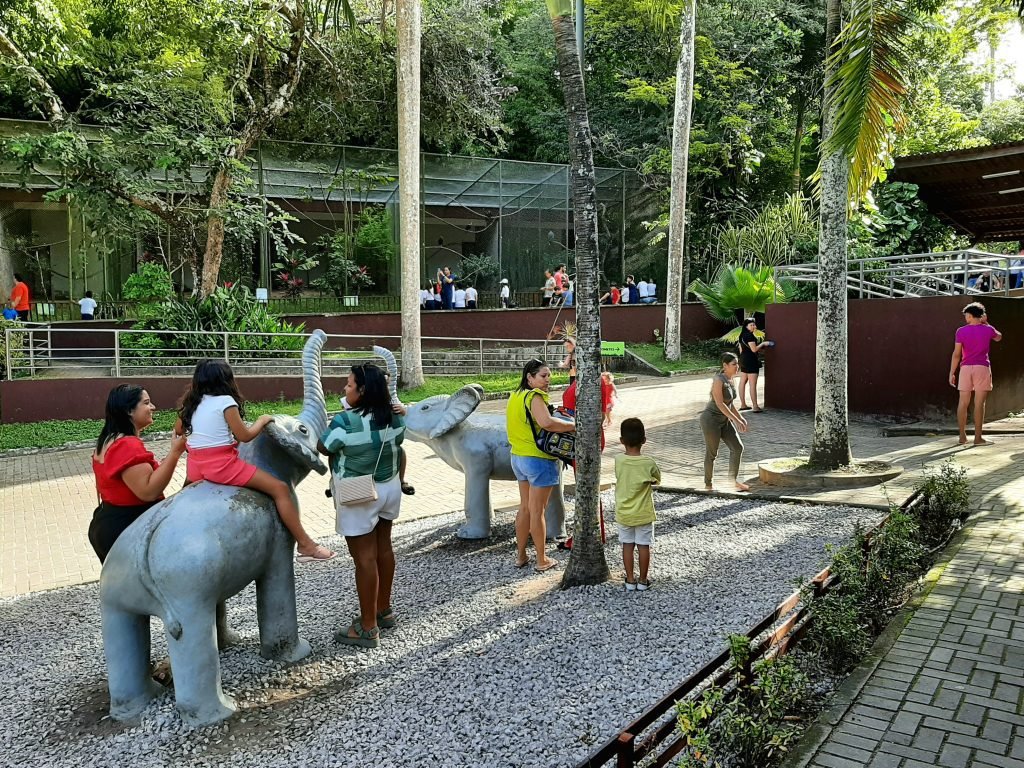 A Bica é uma boa opção para crianças