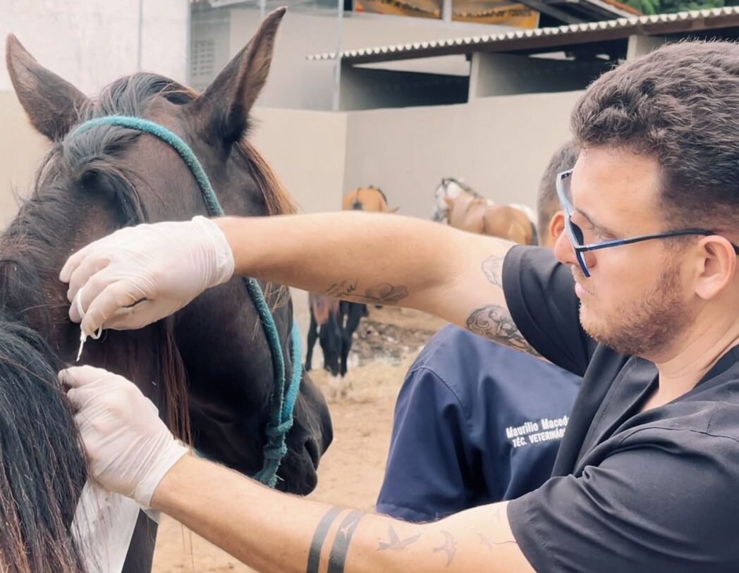 Centro de Zoonoses implanta microchip em mais de 300 animais de grande porte resgatados em Campina Grande