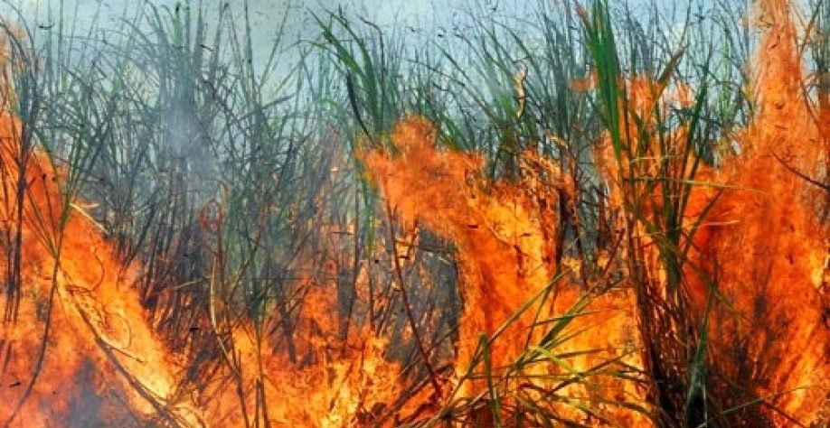 Ministério Público da Paraíba apura denúncias de queimadas irregulares e poluição ambiental na Usina São João, em Santa Rita