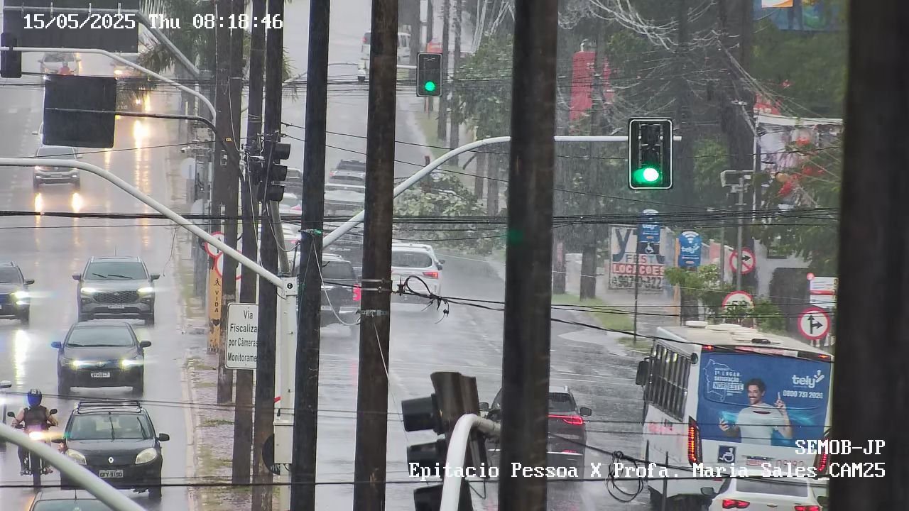 após madrugada de chuvas, árvore cai na Avenida Epitácio Pessoa