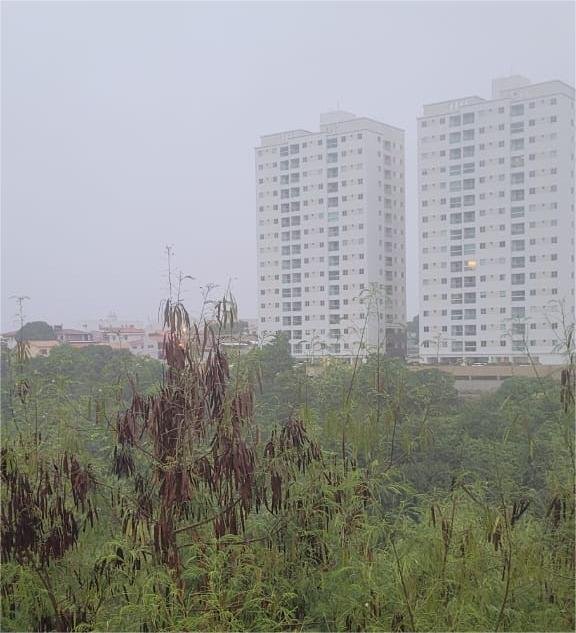 Defesa Civil diz que chuva ultrapassa 149mm nas últimas 24 horas em João Pessoa e alerta população