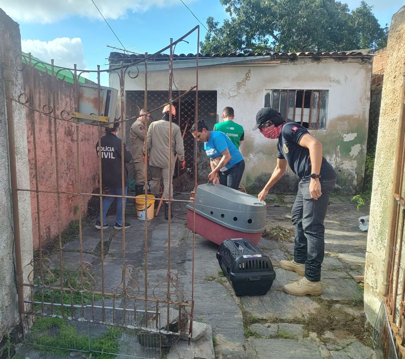 Homem é preso por manter cerca de 40 cães em situação de abandono em Campina Grande