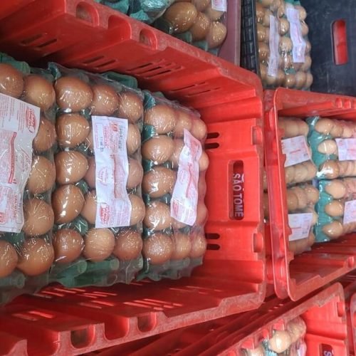 Comerciante é preso e mais de mil caixas de ovos com rótulos falsos são apreendidos durante operação em Campina Grande