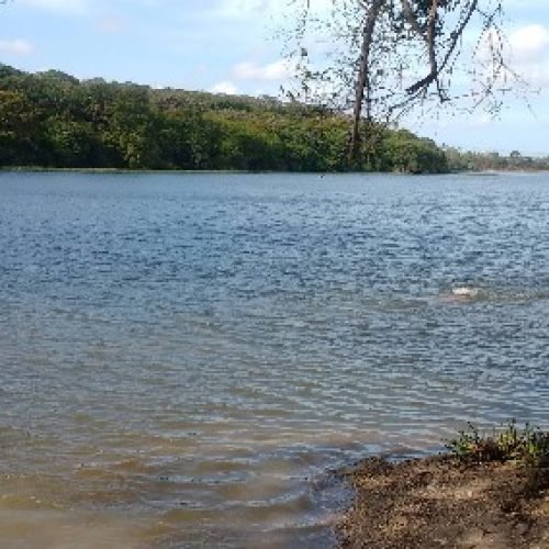 Dez açudes estão sangrando na Paraíba, mas 79 ainda despertam preocupação