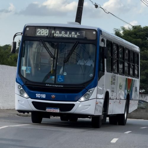 Dia das Mães terá tarifa zero no transporte público em Campina Grande neste domingo
