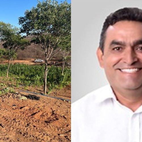 Ex-prefeito é preso novamente por suspeita de financiar plantação de maconha em investigação de tráfico de drogas no Sertão da Paraíba