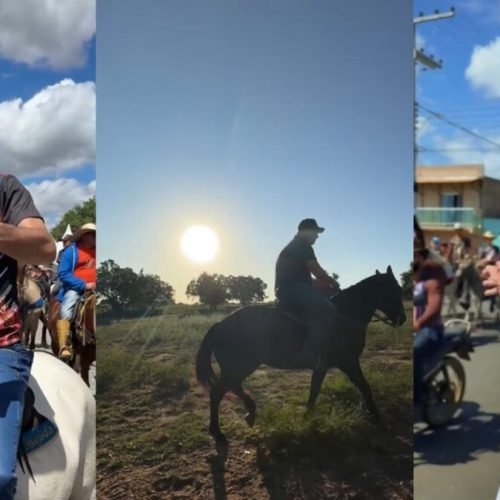 Políticos da Paraíba compartilham vídeos sobre cavalgada e cavalo vira bola da vez no marketing
