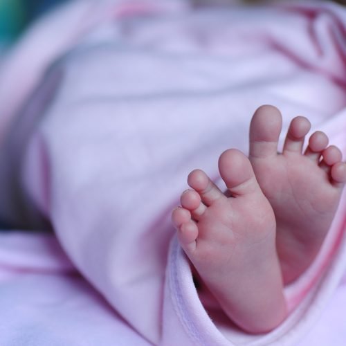 Projeto de lei em João Pessoa quer multa de R$ 15 mil para quem usar ‘bebê reborn’ para burlar atendimento preferencial