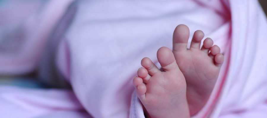 Projeto de lei em João Pessoa quer multa de R$ 15 mil para quem usar ‘bebê reborn’ para burlar atendimento preferencial