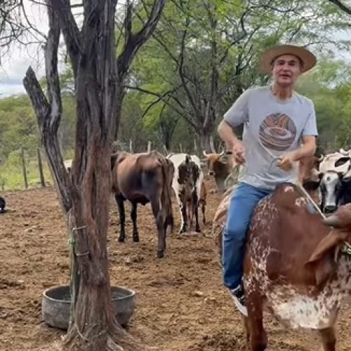 Romero Rodrigues monta touro e manda recado para políticos que estão indo a cavalo ou foguete para 2026: “vou chegar primeiro”