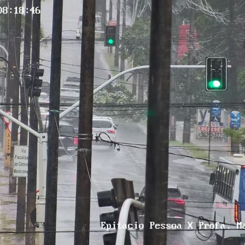 após madrugada de chuvas, árvore cai na Avenida Epitácio Pessoa
