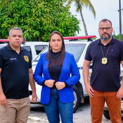 o efetivo policial é suficiente para garantir a segurança?